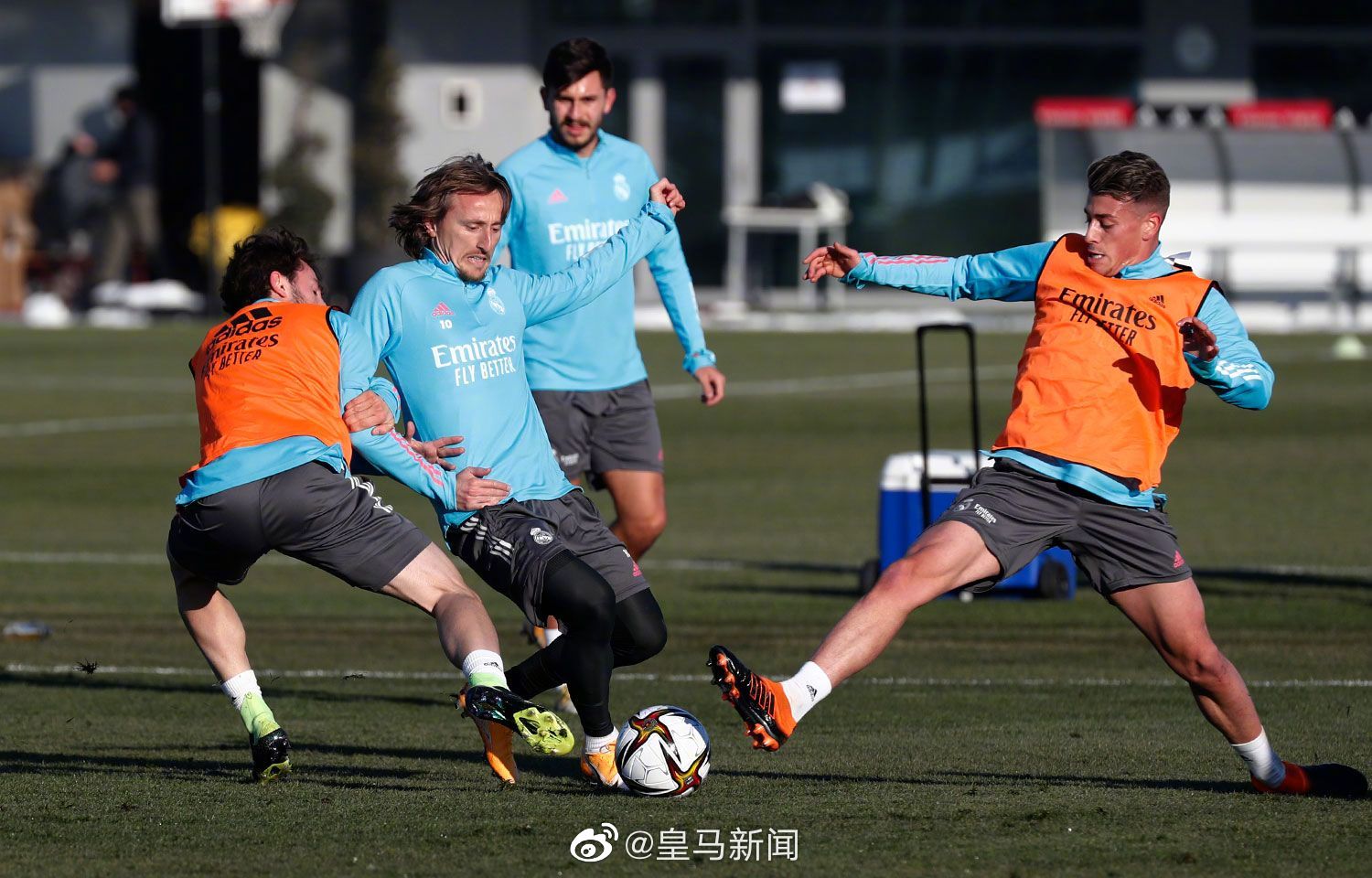 窗口期密尔沃基雄鹿备战国王杯，完成体检细节曝光，信心回归，球队文化再被提及(凯尔特人雄鹿)